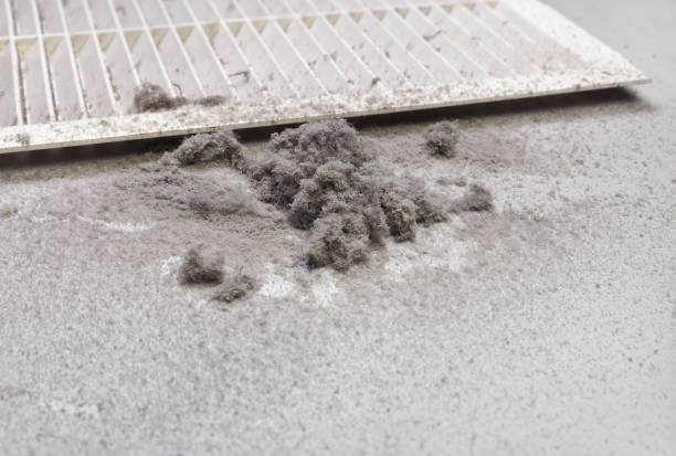Best Affordable Duct Cleaning Services  in Jackson, CA