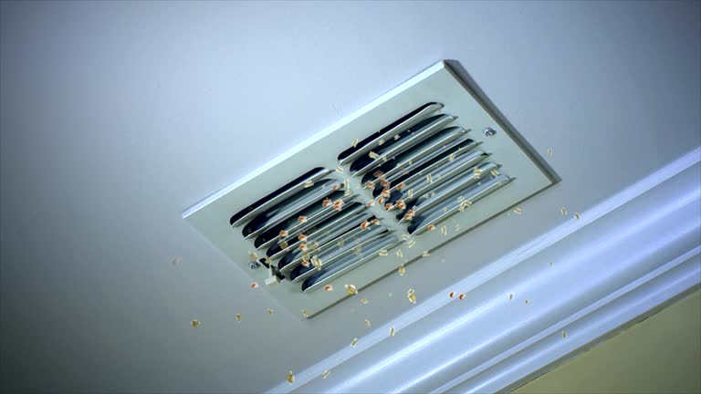 Best HVAC System Cleaning  in Jackson, CA