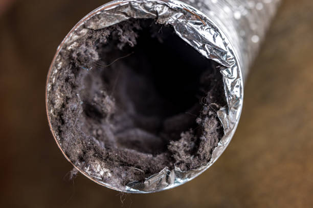Best Ductwork Cleaning Services  in Jackson, CA
