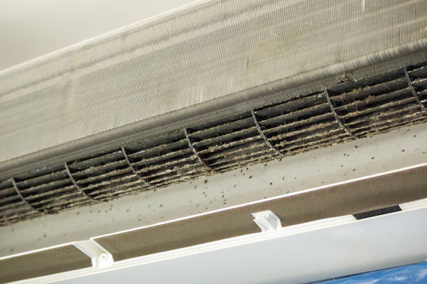 Best Best Air Duct Cleaning Company  in Jackson, CA
