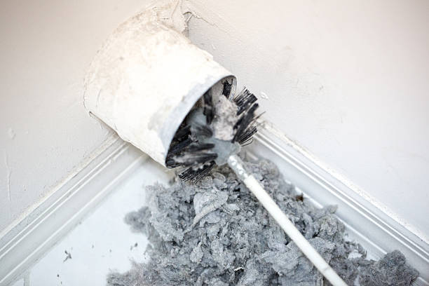 Best Professional Duct Cleaning Services  in Jackson, CA